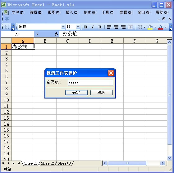 输入密码解除保护